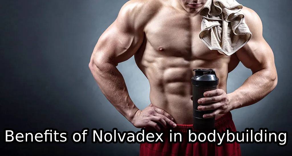 Benefits of Nolvadex in bodybuilding